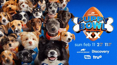Puppy Bowl 2024 Adoption Picture